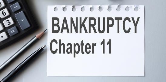 Chapter 11 Business Bankruptcy Alert