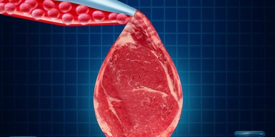 Israel cultivate beef protein novel food approved