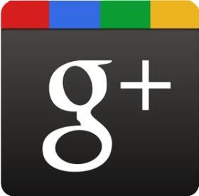 Google Plus Google search results