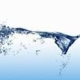 Draft Clean Water Jurisdiction Rule Leaked