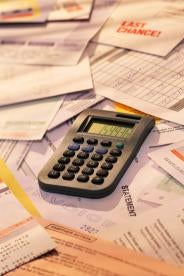 taxes, debt, calculator