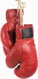 boxing gloves, trademark, canada, mayweather