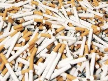 Cigarette Butt Environmental Risk