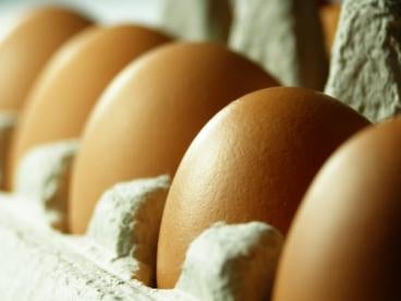 eggs and food safety