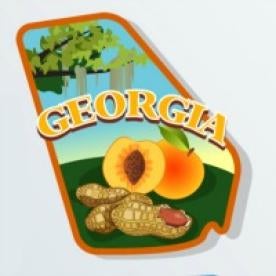 Georgia Legislative Day 6 2023 Report 