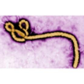 HHS Issues PREP Act Declaration Covering Ebola Vaccines
