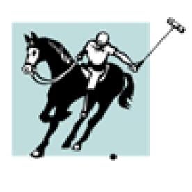 Man Playing Polo on Horseback