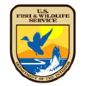 US Fish and Wildlife Service Field Office Guidance on Bat Conservation Plans – P";