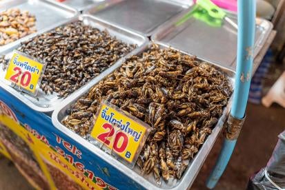 EU European Union Insects Bugs Edible Food Market Commission Implementing Regulation