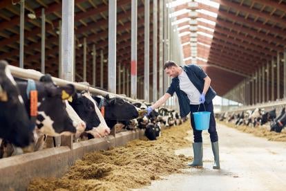 FDA Sued for Not Using Antibiotics with Livestock