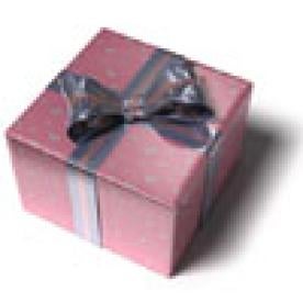 Wrapped Gift with Bow