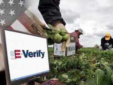 E-Verify Keeps Getting in the News â€“ That is the Way USCIS Wants it";