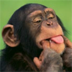 monkey tongue out, animal testing reduction, pesticides