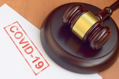 COVID-19 Fraud Enforcement Action DOJ Litigation