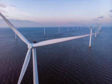 offshore windfarm environmental review