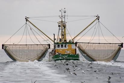 seafood sustainability, bycatch & health marine ecosystem