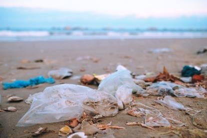 Single-Use Plastic Pollution DOE Invest Reduce Waste