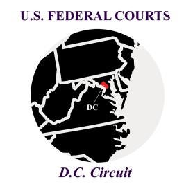 DC Circuit Ruling Disclose Dual Representation