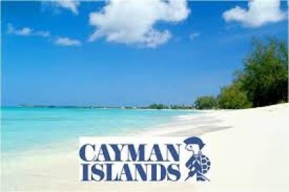 Cayman Islands turtle 
