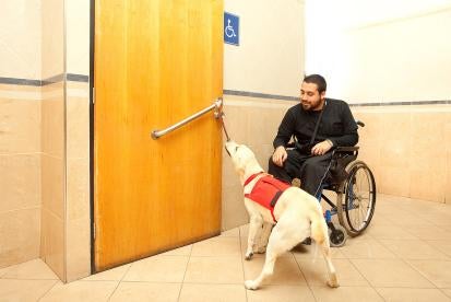 ADA Can you bring a service animal or emotional support animal to wrk?