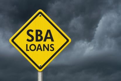 SBA Appeals of Paycheck Protection Program Loan Decisions