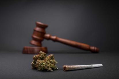 Employee At Cannabis Company Has Chapter 13 Bankruptcy Case Dismissed