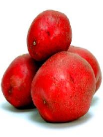 Red Potatoes Employment Law