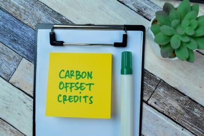 JPMorgan Carbon Offset Credis for ESG