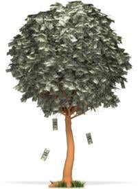Money Grows on Trees, money tree