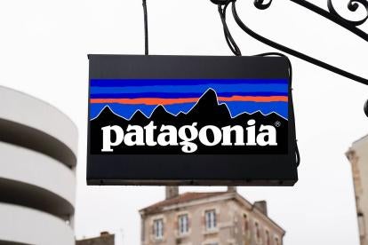 Patagonia Transfer of ownership to non profit 