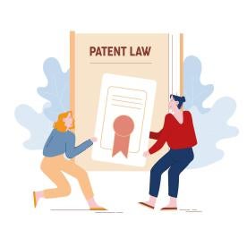Patent law picture claims