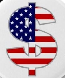 dollar sign american flag