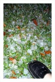 Hail on grass