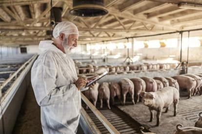 SCOTUS Allows CA Rule on Out of State Pig Farming
