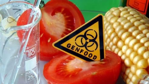 genetic food, GM standards