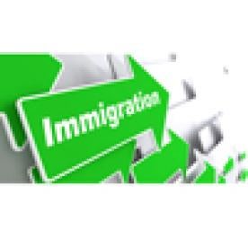 immigration arrow, donald trump