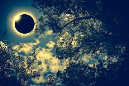 sun, moon, tree