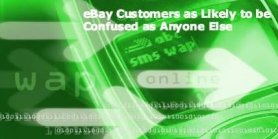 eBay Customers as Likely to be Confused as Anyone Else