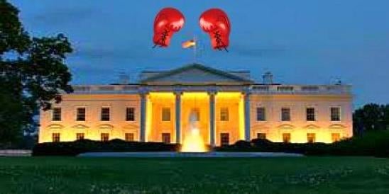 White House and Boxing Gloves
