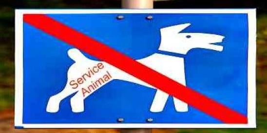 No Dogs Allow - Service Animal