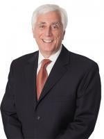 Paul Berkowitz, Greenberg Traurig Law Firm, Miami, Corporate Law Attorney