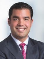 Vincent Indelicato Corporate Attorney Proskauer Rose New York, NY 