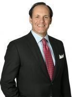 Terry Weiss, Greenberg Traurig Law Firm, Atlanta, Corporate and Finance Litigation Attorney 