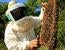 FDA Imported honey economically motivated adulteration EMA