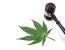 DOJ on Massachusetts Cannabis Case