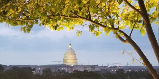 Government Shutdown Capitol Updates