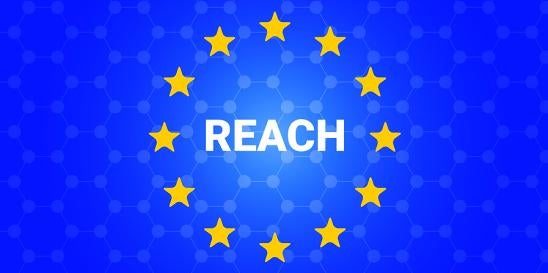 ECHA REACH Registration Breach of Update