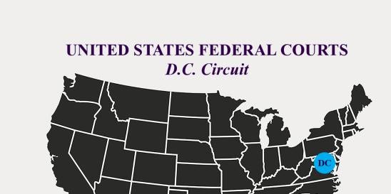 DC Circuit Court labor employment disparagement