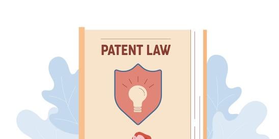 patent infringement primary reference obviousness challenge