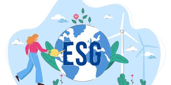 Environmental social corporate governance ESG litigation